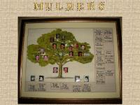 Screenshot van website