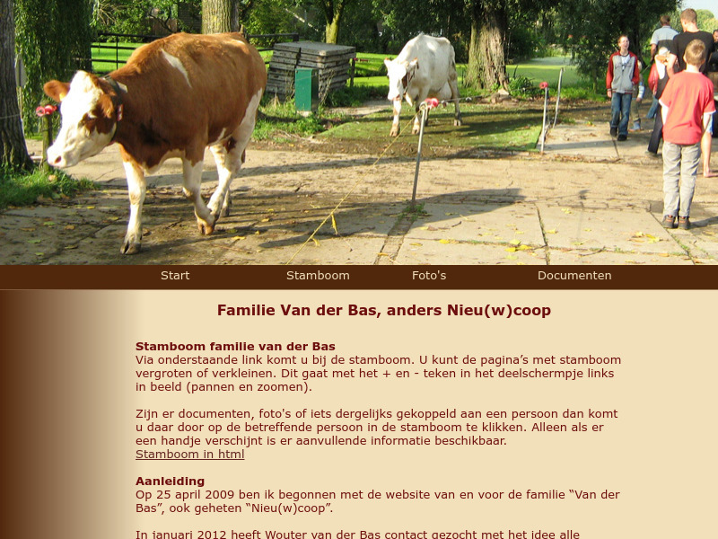 Screenshot van website