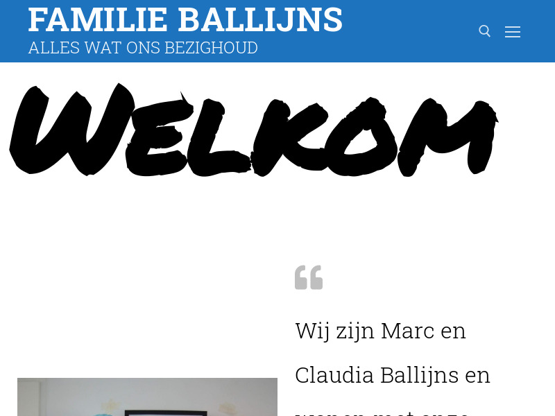 Screenshot van website