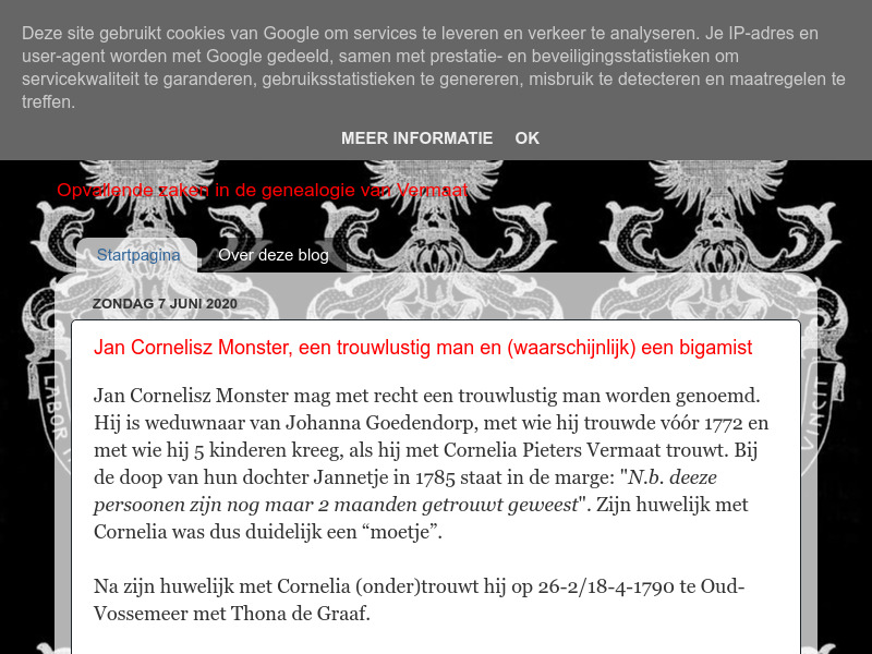 Screenshot van website
