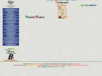 Screenshot van website