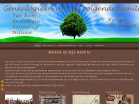 Screenshot van website