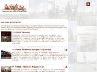 Screenshot van website