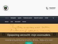 Screenshot van website