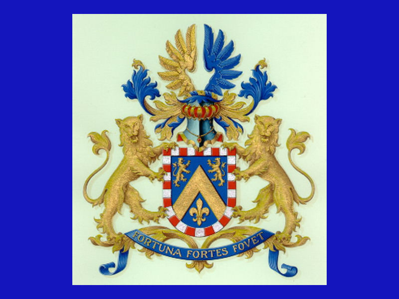 Screenshot van website