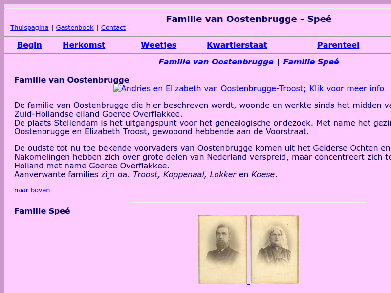 Screenshot van website