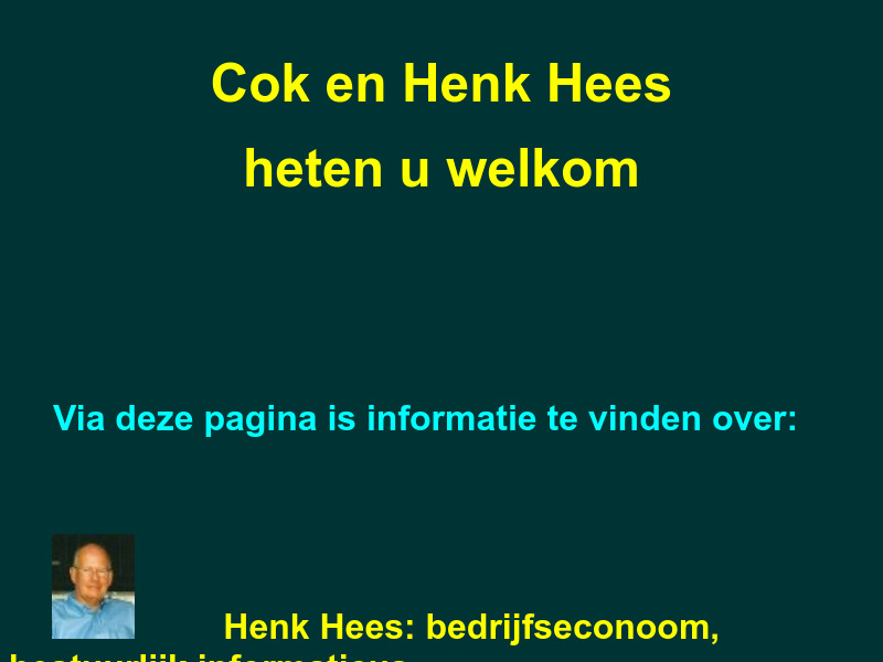 Screenshot van website