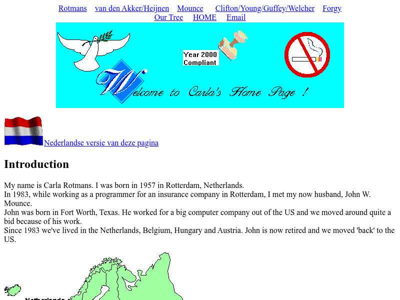 Screenshot van website