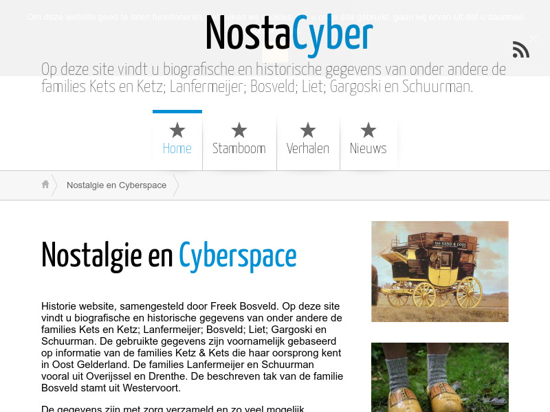 Screenshot van website