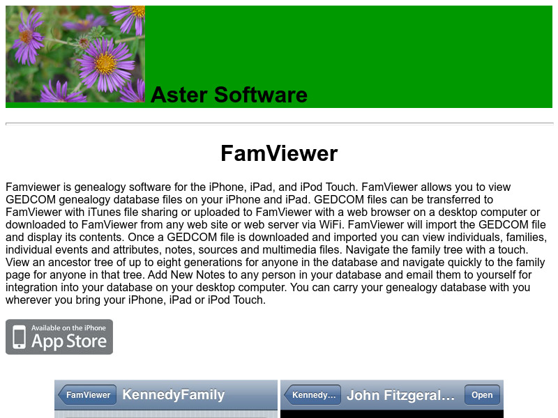Screenshot van website