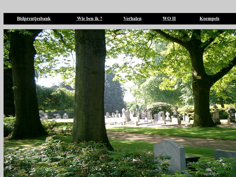 Screenshot van website
