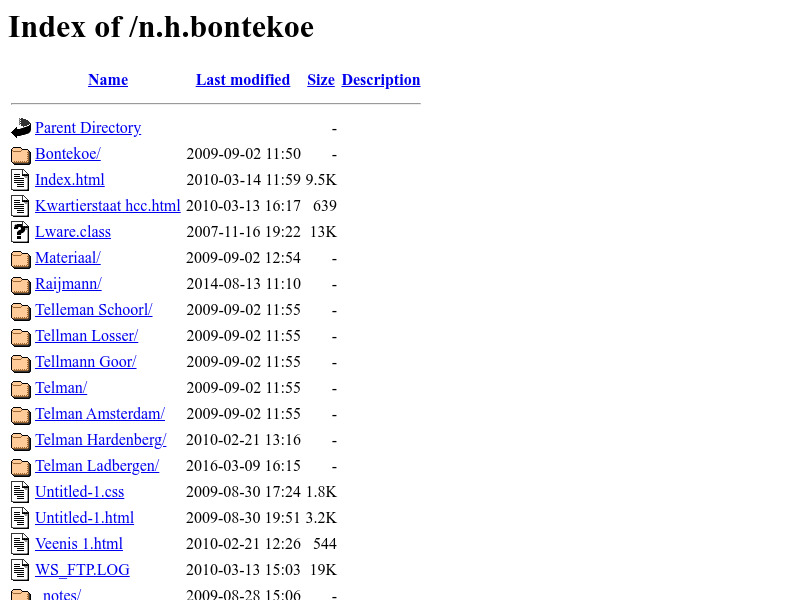 Screenshot van website