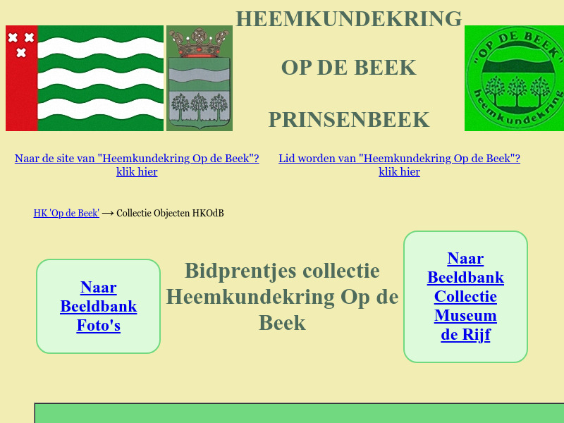 Screenshot van website