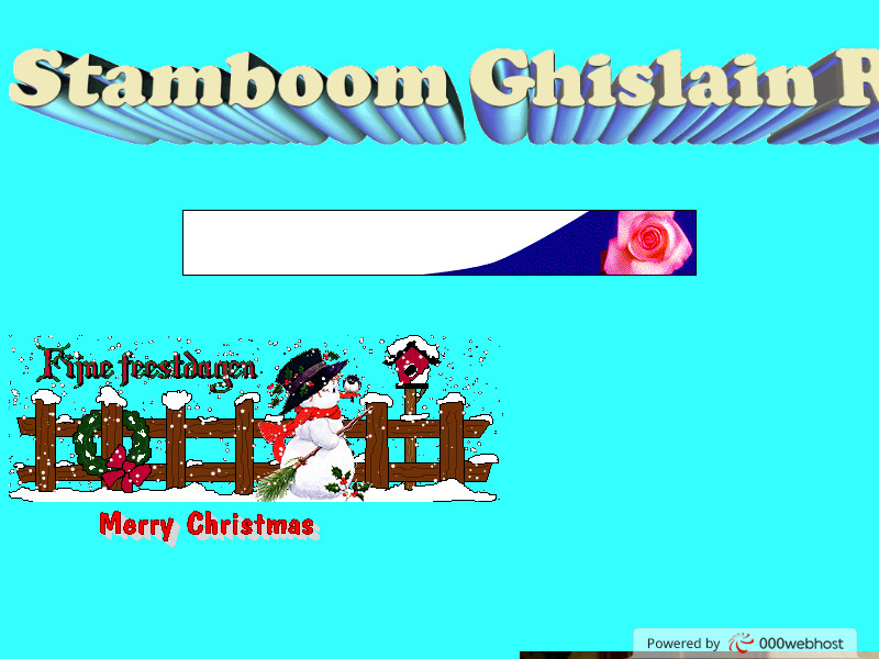 Screenshot van website