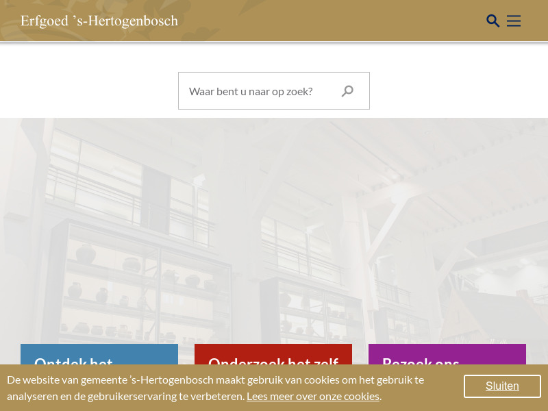 Screenshot van website