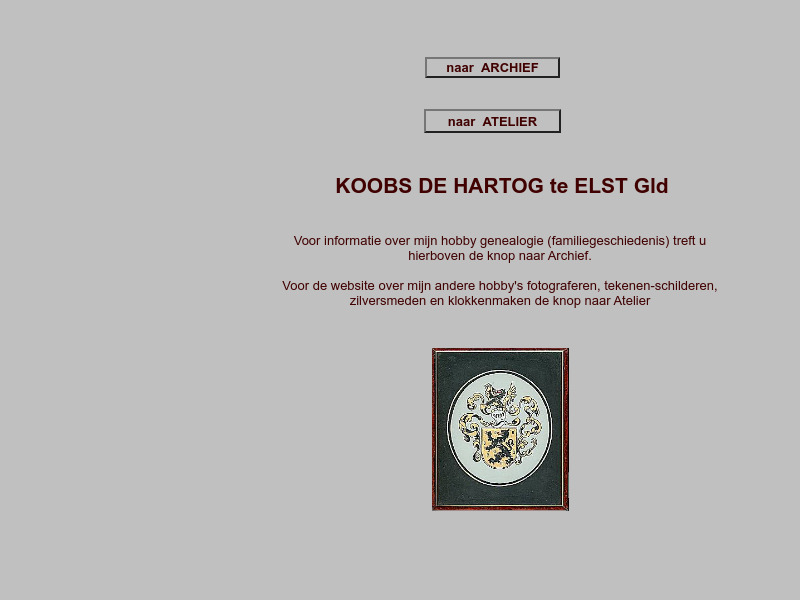 Screenshot van website