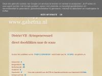 Screenshot van website