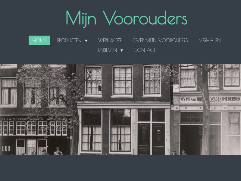Screenshot van website