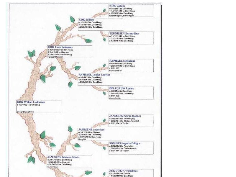 Screenshot van website