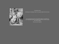 Screenshot van website