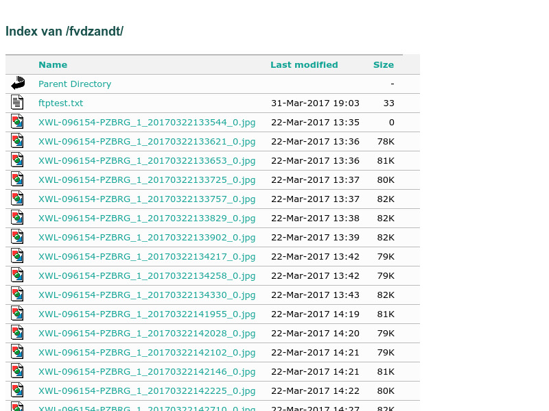Screenshot van website