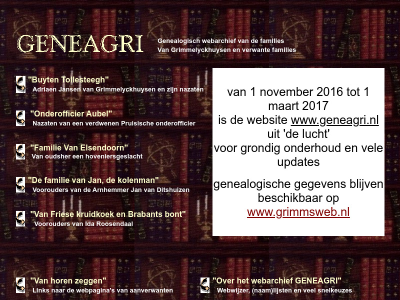 Screenshot van website