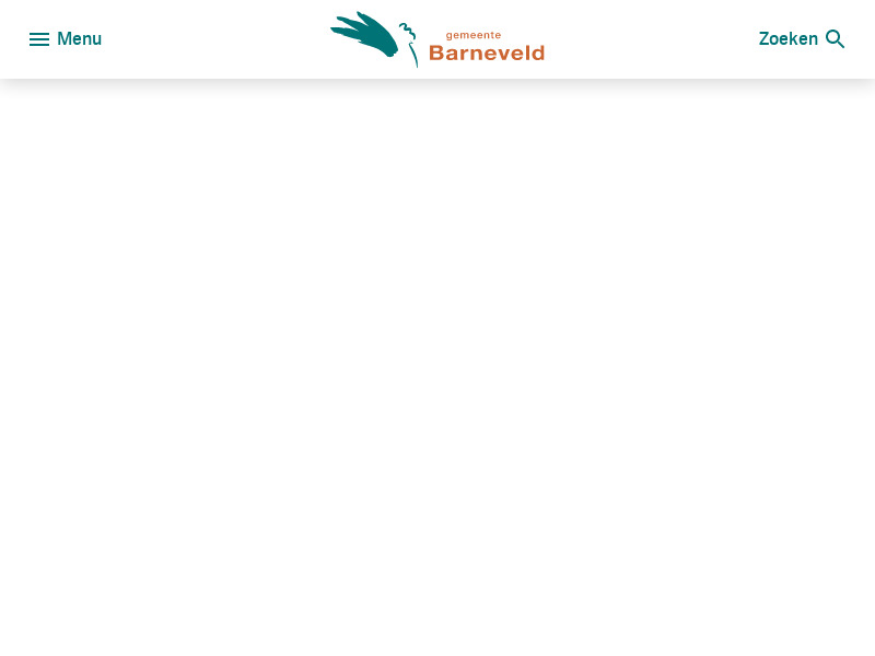 Screenshot van website