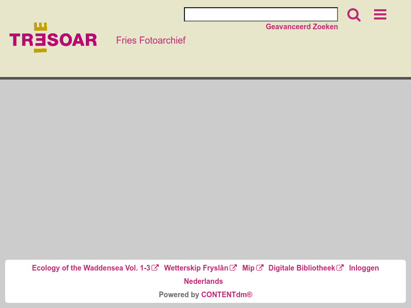 Screenshot van website