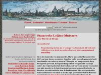 Screenshot van website