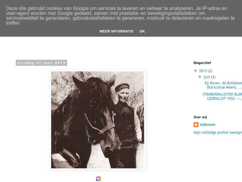 Screenshot van website