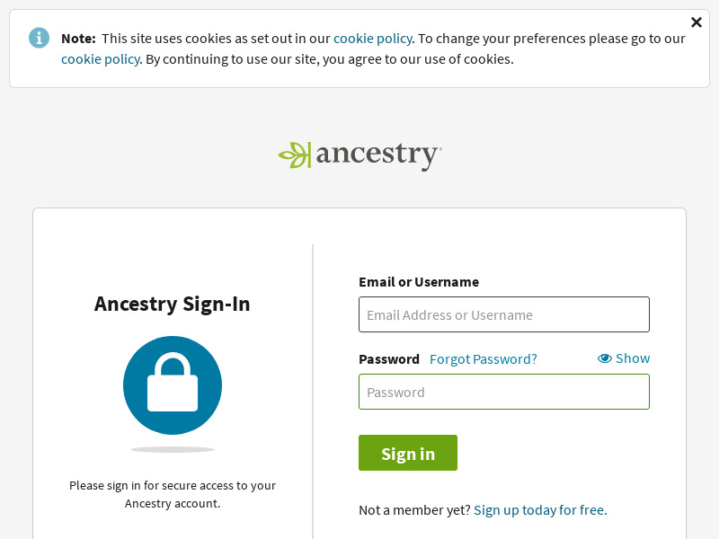 Screenshot van website