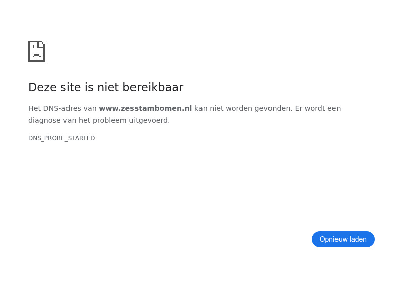 Screenshot van website