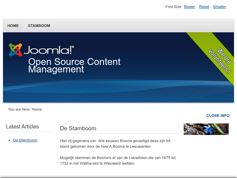 Screenshot van website