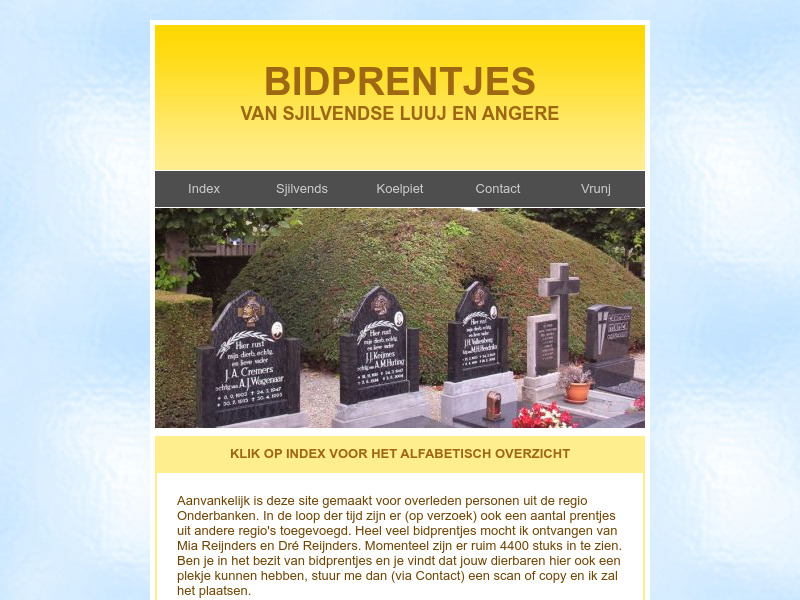 Screenshot van website