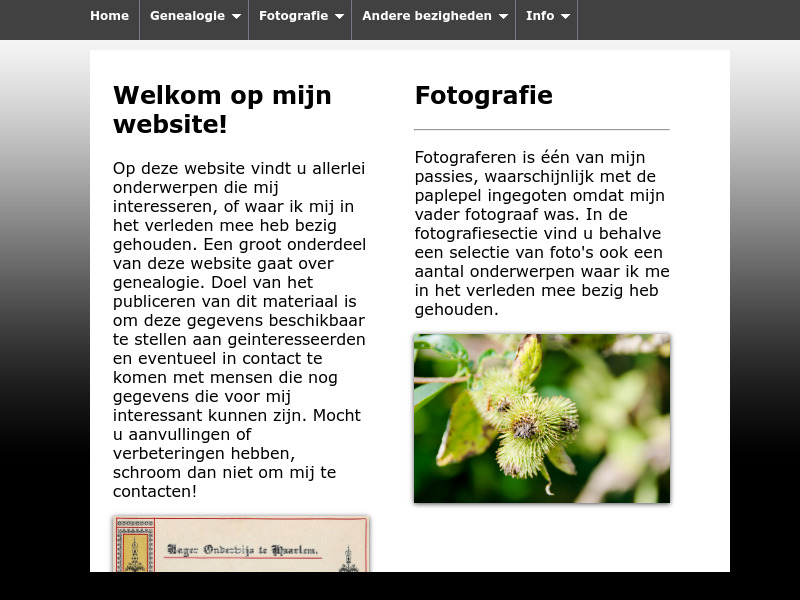 Screenshot van website