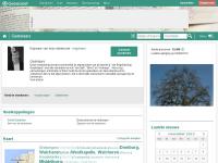 Screenshot van website