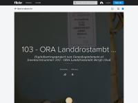 Screenshot van website