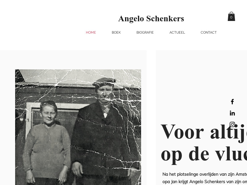 Screenshot van website