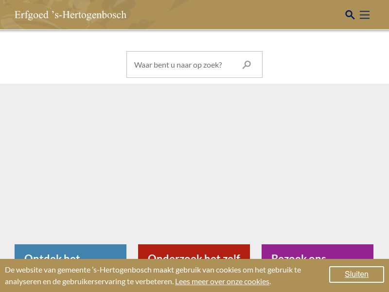 Screenshot van website