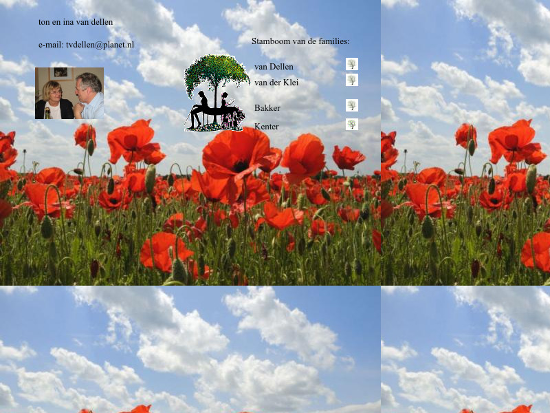 Screenshot van website