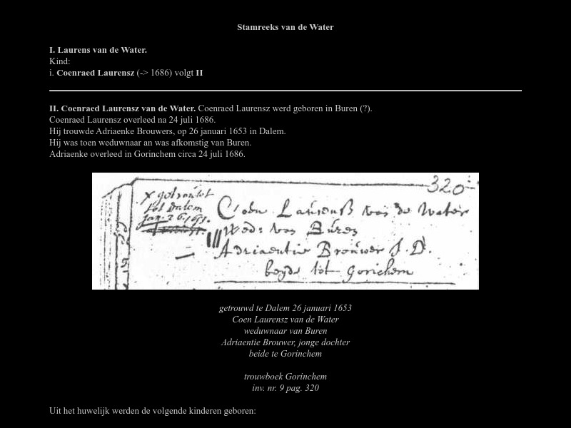 Screenshot van website