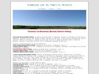 Screenshot van website