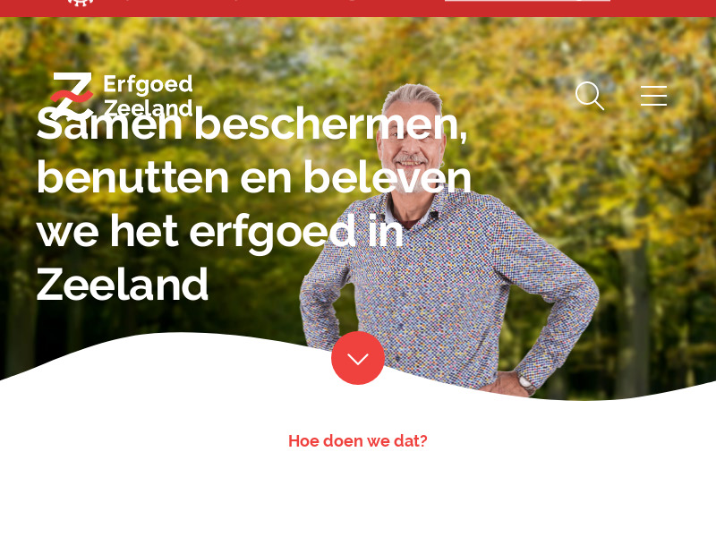Screenshot van website