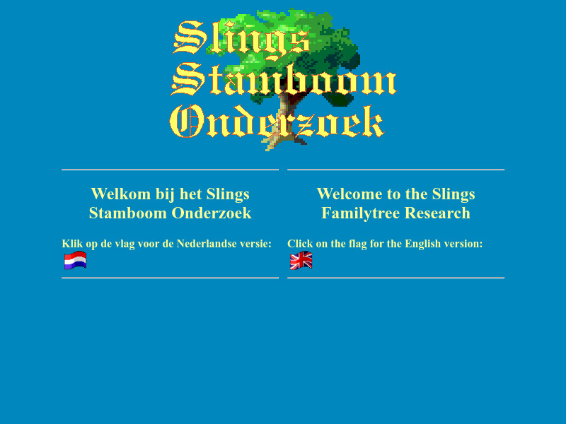 Screenshot van website