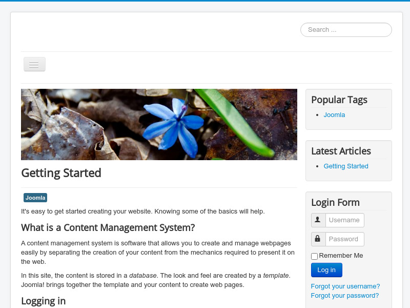 Screenshot van website