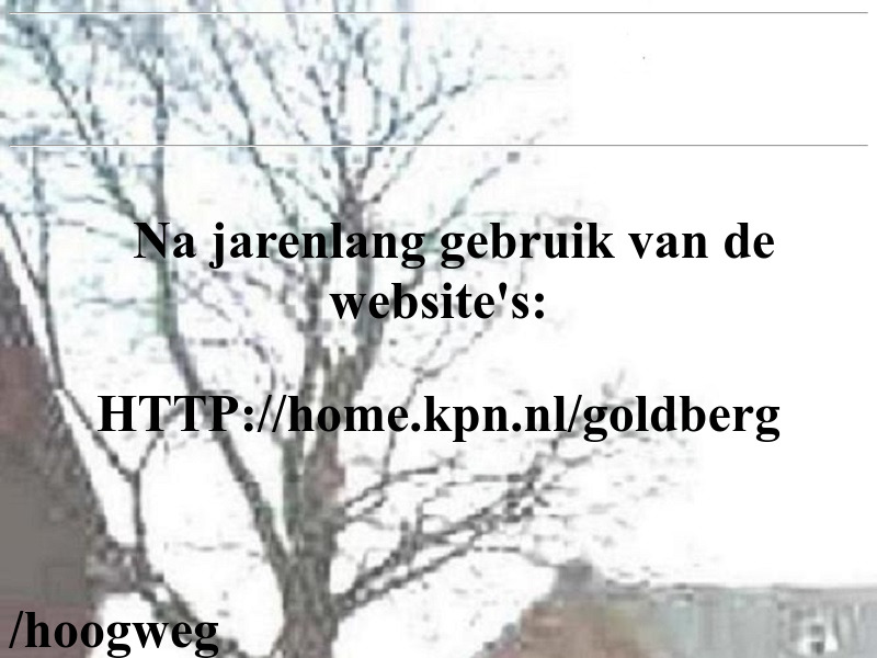 Screenshot van website