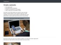 Screenshot van website