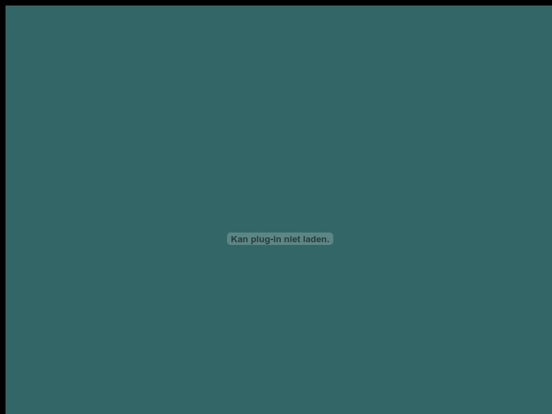 Screenshot van website