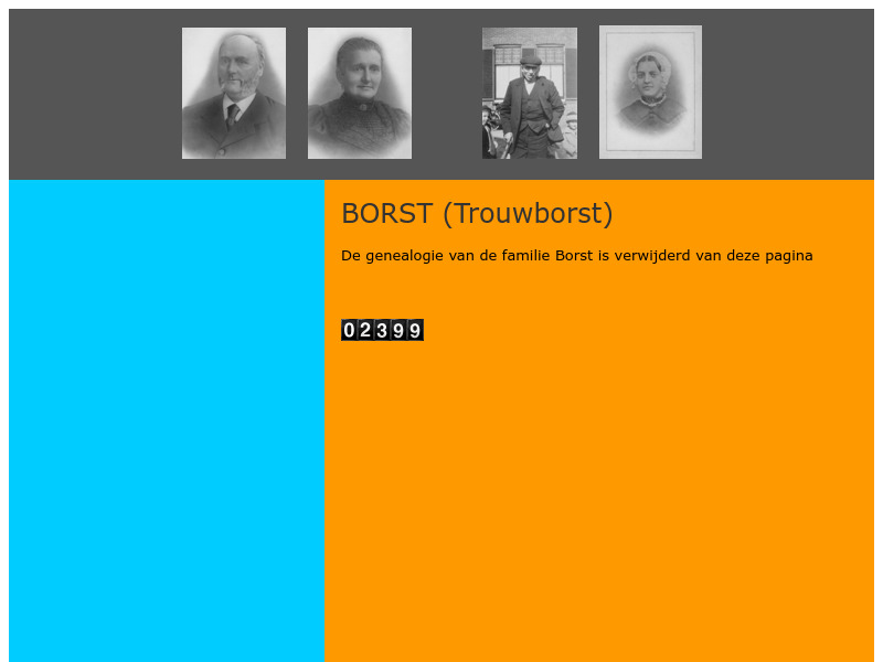 Screenshot van website