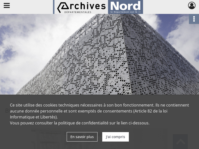 Screenshot van website